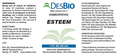 Dsrt0536 Esteem 5 25 18